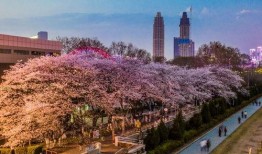 吃瓜爆料每日大赛最新动态 网红黑料爆料网在线看,吃瓜爆料每日大赛最新动态在线观看